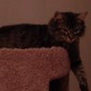 Meet your Posher, Natalia